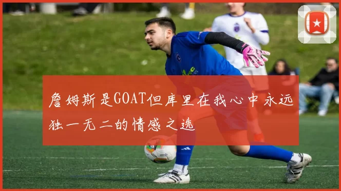 詹姆斯是GOAT但库里在我心中永远独一无二的情感之选